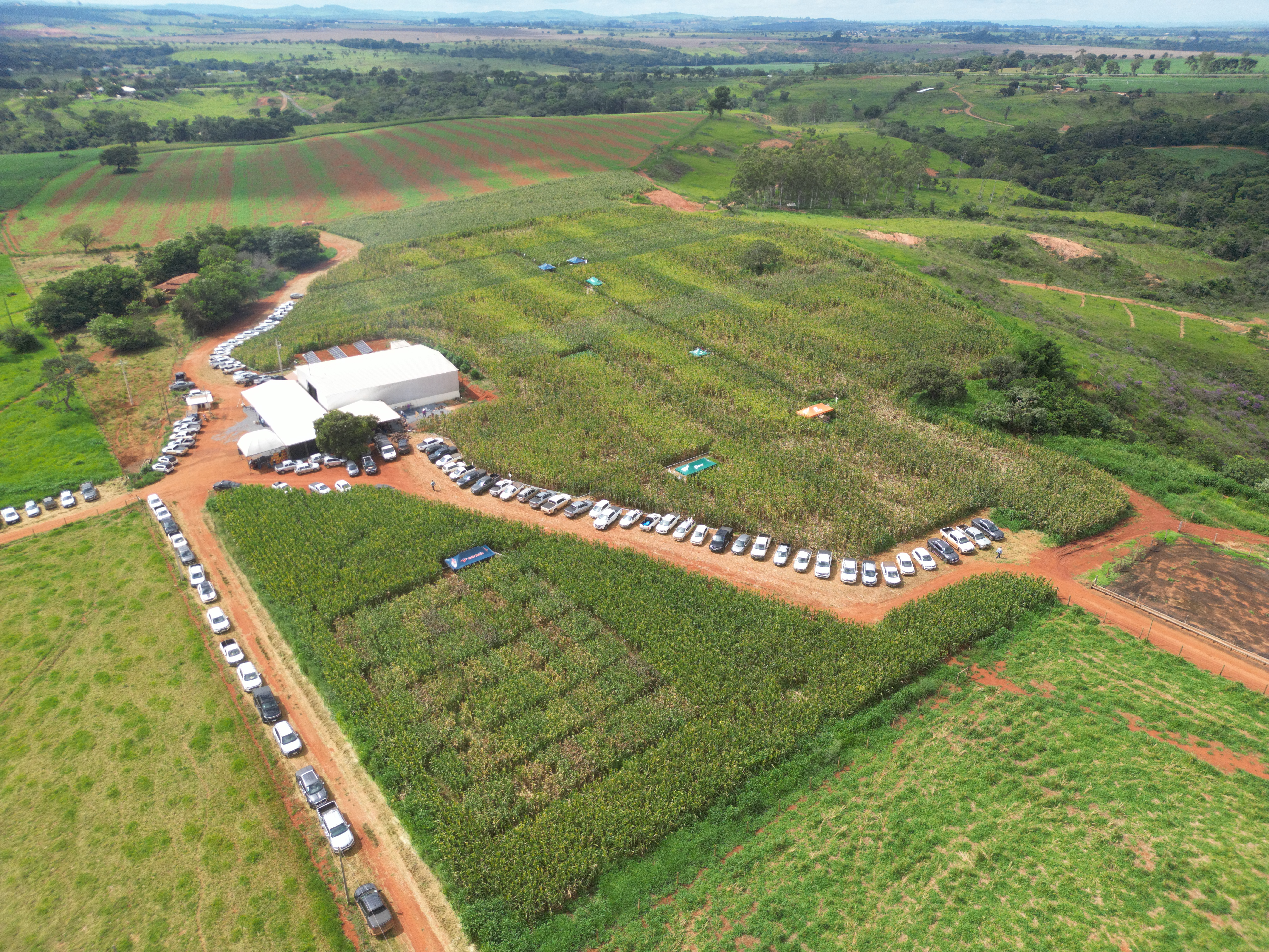 2° Dia de Campo - Foto 1